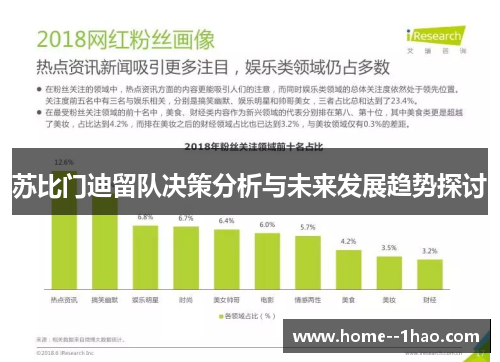 苏比门迪留队决策分析与未来发展趋势探讨