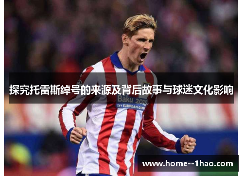 探究托雷斯绰号的来源及背后故事与球迷文化影响