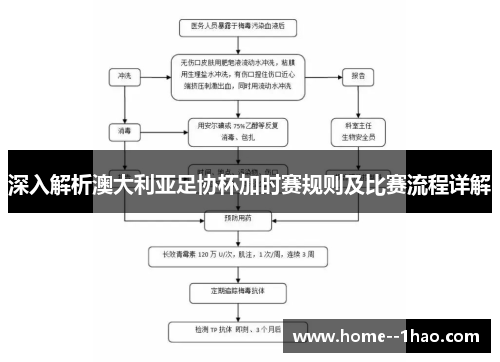 深入解析澳大利亚足协杯加时赛规则及比赛流程详解