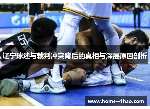 辽宁球迷与裁判冲突背后的真相与深层原因剖析 辽宁球迷与裁判冲突背后的真相与深层原因剖析