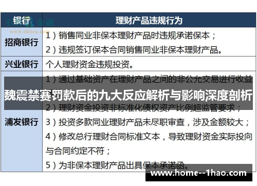 魏震禁赛罚款后的九大反应解析与影响深度剖析