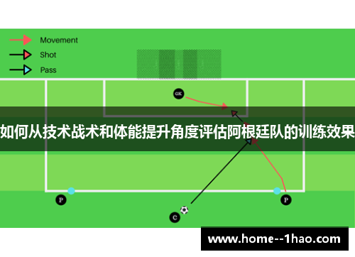 如何从技术战术和体能提升角度评估阿根廷队的训练效果