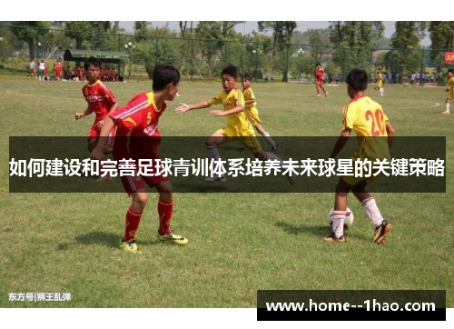 如何建设和完善足球青训体系培养未来球星的关键策略