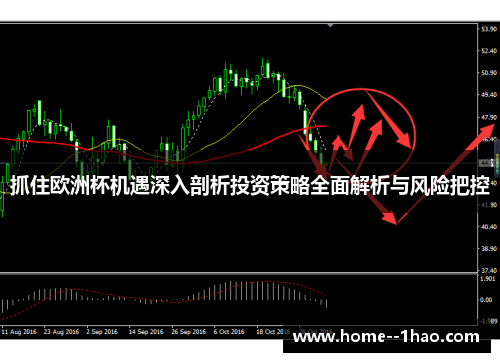 抓住欧洲杯机遇深入剖析投资策略全面解析与风险把控
