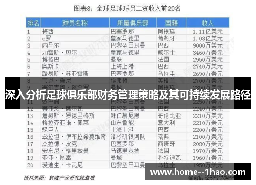 深入分析足球俱乐部财务管理策略及其可持续发展路径