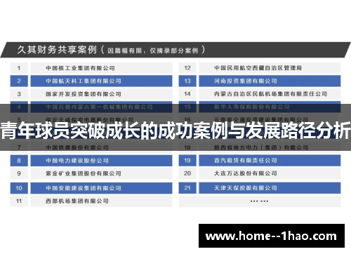 青年球员突破成长的成功案例与发展路径分析