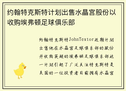 约翰特克斯特计划出售水晶宫股份以收购埃弗顿足球俱乐部